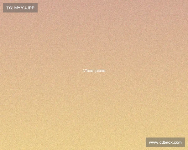 GT赛事规则_gt赛车锦标赛