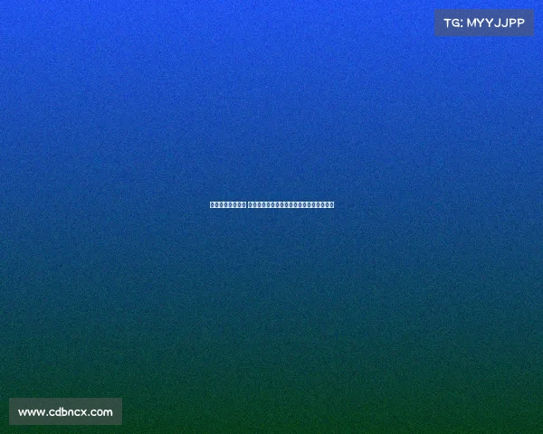 瓦埃勒是什么意思 瓦埃勒队近期赛事精彩回顾与未来展望详解