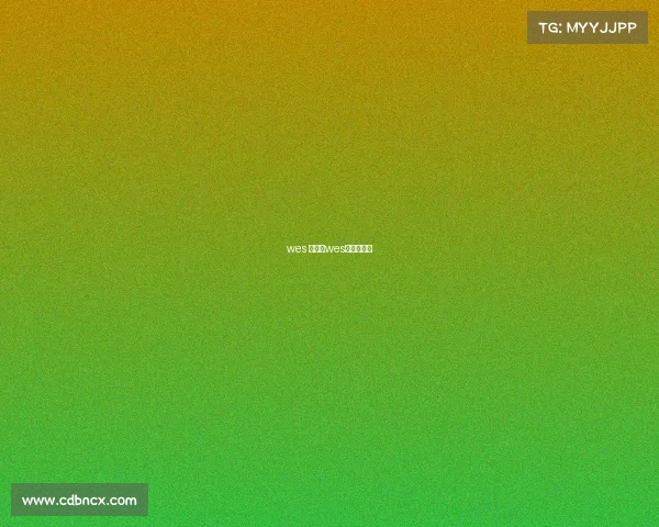 wes 赛事、wes赛最好成绩